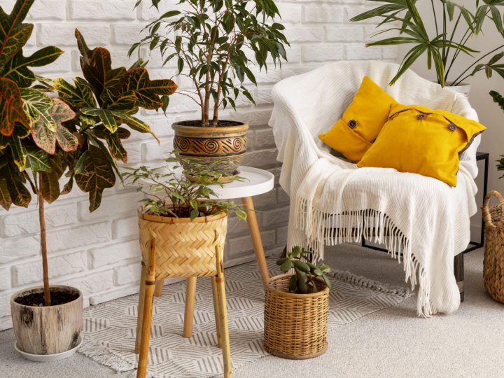Huisdecoratie trends